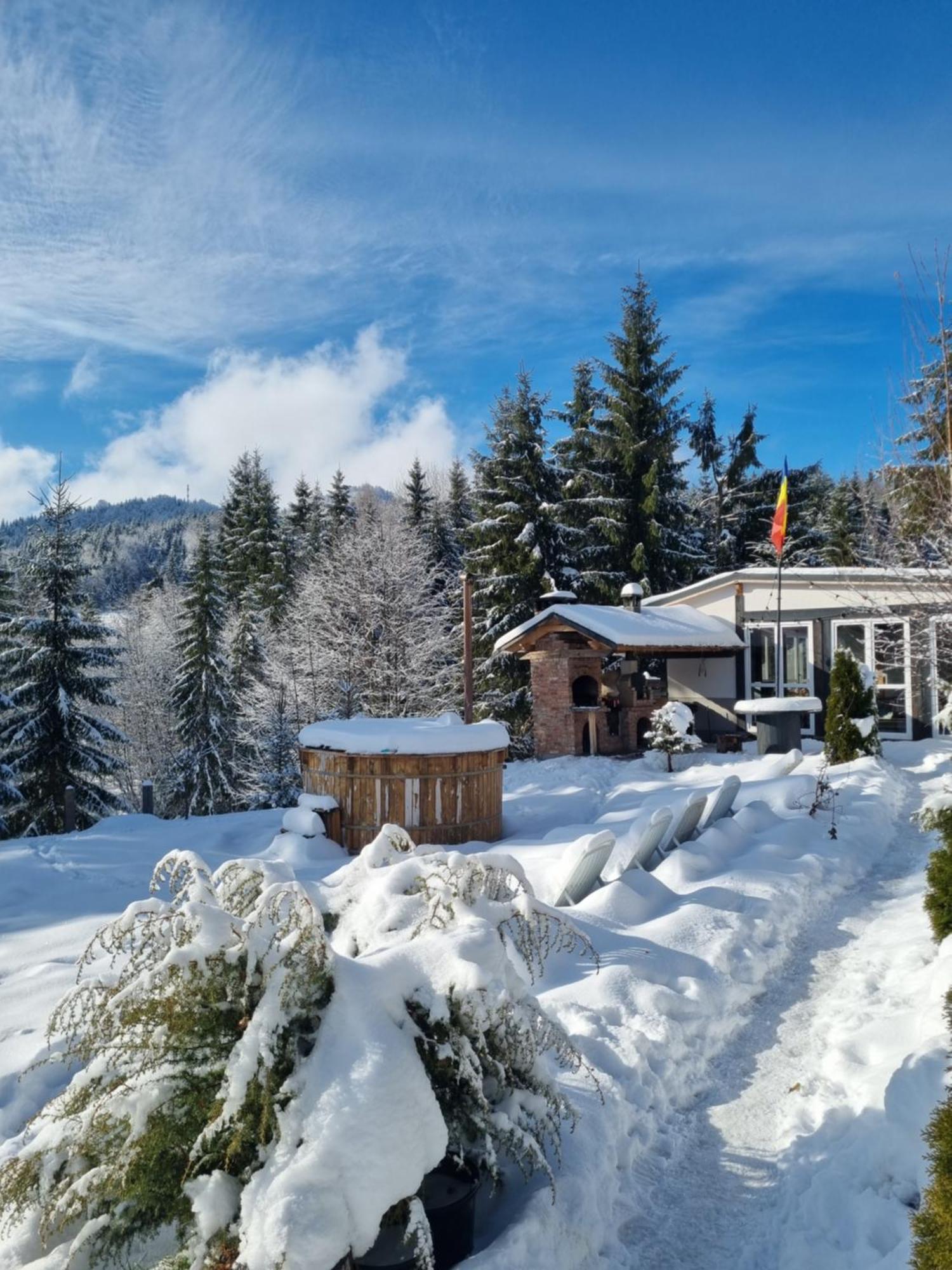 Cabana Casaru Colibiţa エクステリア 写真